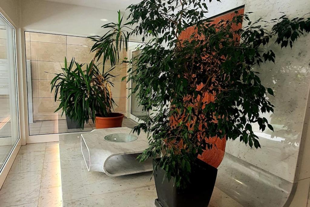 Appartamento Centrale Con Wifi E Posteggio Privato Gratis! Lugano Luaran gambar